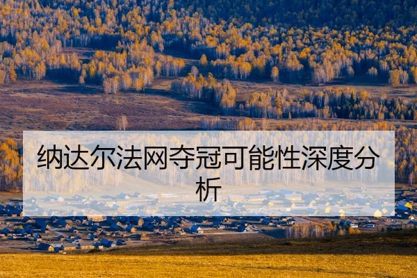 na-da-er-fa-wang-duo-guan-ke-neng-xing-shen-du-fen-xi-2-519.jpg